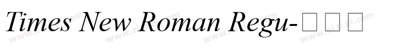 Times New Roman Regu字体转换